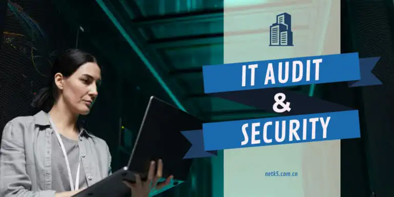 Expert IT Audit Services: Ensuring IT Compliance and Security